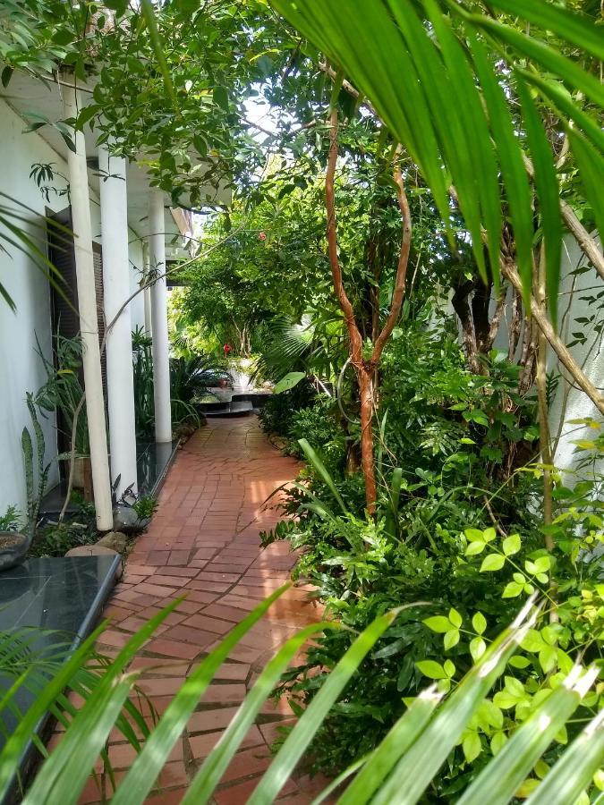 Guesthouse Mata Da Praia Βιτόρια Εξωτερικό φωτογραφία
