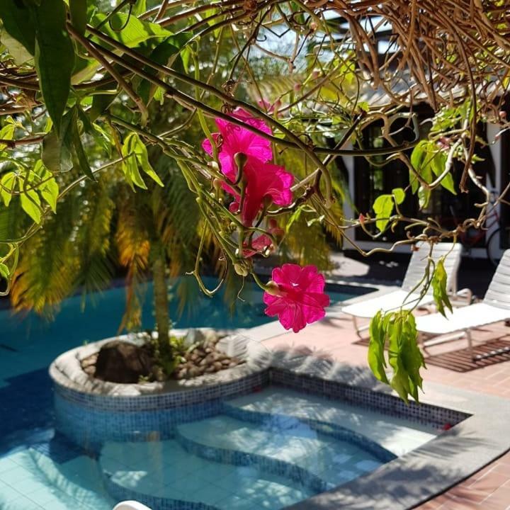 Guesthouse Mata Da Praia Βιτόρια Εξωτερικό φωτογραφία